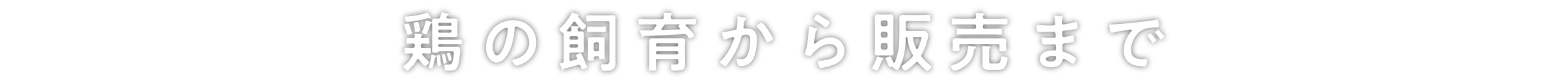 鶏の飼育から販売まで