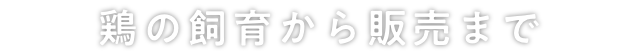鶏の飼育から販売まで